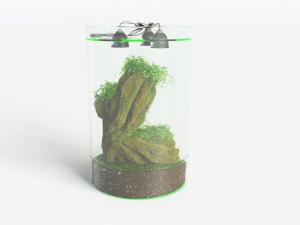 圆形带有氧气机的鱼缸水族