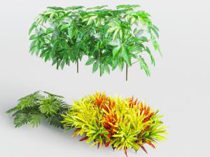 种植在地面上的花草灌木