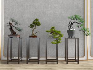 中式花架松树盆景盆栽