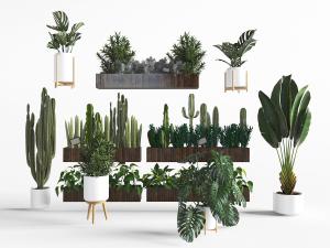 长方形实木花盆盆栽植物