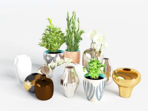 现代花纹花盆盆栽植物