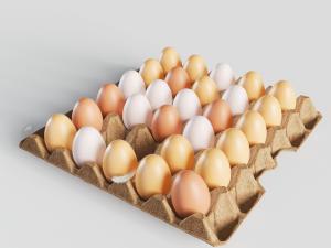 放在纸质蛋托里的鸡蛋3d模型 放在纸质蛋托里的鸡蛋