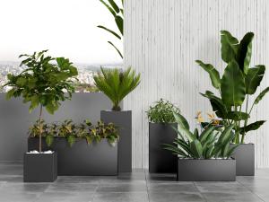 黑色陶瓷长方形花盆盆栽植物