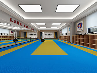 现代跆拳道馆