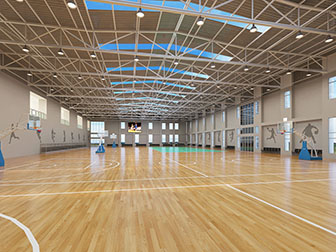 现代篮球场体育馆