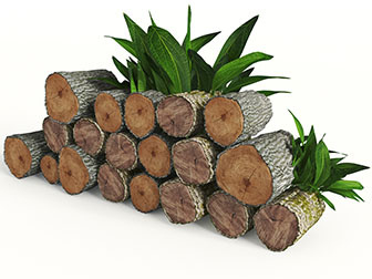 一堆摆放整齐的原木树桩