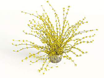 迎春花花瓶花卉