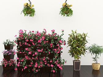 阳台长方形实木花盆盆栽植物