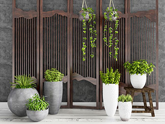 水泥陶瓷花盆盆栽植物