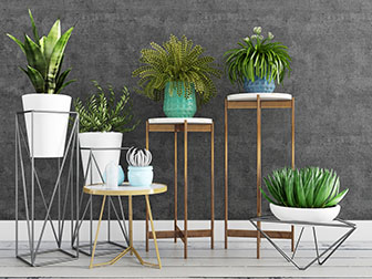 放在花架上的盆栽植物