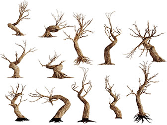 几棵不同姿势扭曲的枯树枝