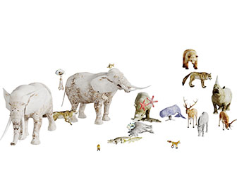 大象斑马麋鹿熊爬行动物