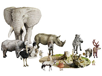 大象犀牛麋鹿鸵鸟各种爬行动物