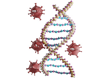 人类螺旋基因链和冠状病毒3d模型 人类螺旋基因链和冠状病毒