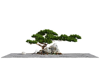 中式松树石头园艺小品