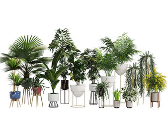 彩色陶瓷花盆盆栽植物