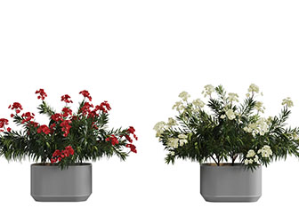 复古陶瓷花盆盆栽植物