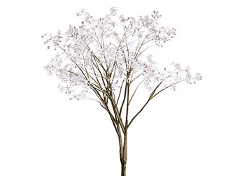 开满桃花的景观树木