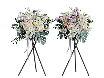 两束三脚支架盛开的花朵