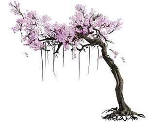 开满粉色花朵的老树