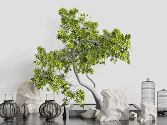 中式树木石头景观小品