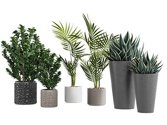 现代凹凸纹理的花盆盆栽植物