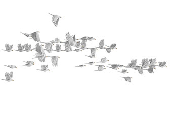 一群飞在天空的鸽子飞行动物3d模型 一群飞在天空的鸽子飞行动物