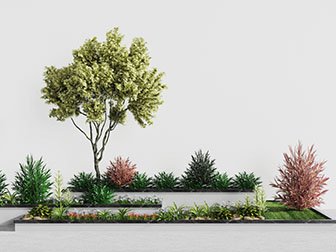 现代花坛树木植物园艺小品