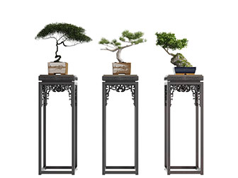 新中式雕花花架盆景盆栽