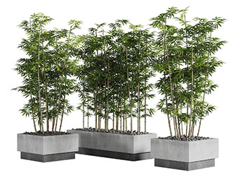 现代花池里的竹子景观小品