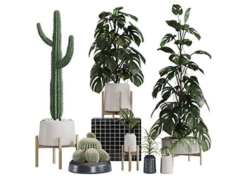 现代实木架上的盆栽植物