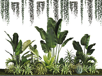 现代阳台植物园艺小品