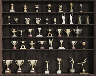 现代实木奖杯奖牌荣誉装饰柜3d模型 现代实木奖杯奖牌荣誉装饰柜