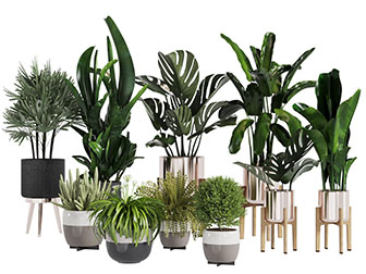 现代放在花架上的盆栽植物