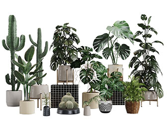 现代大叶盆栽置物