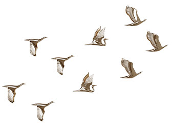 新中式装饰仙鹤山脉的背景墙3d模型 新中式装饰仙鹤山脉的背景墙