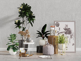 北欧大型盆栽植物