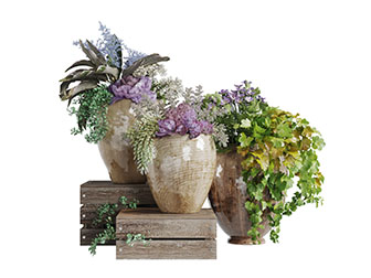 做旧土陶花盆盆栽植物