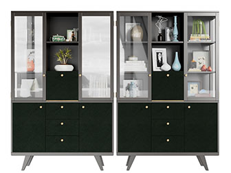 现代玻璃柜门的装饰柜