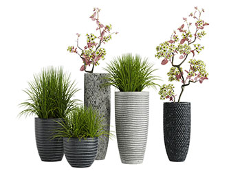 现代复古花盆盆栽植物