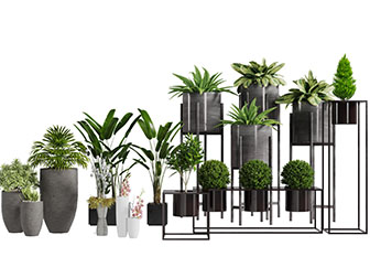 北欧水泥大花盆盆栽植物