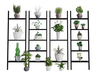 现代黑色实木花架上的盆栽植物