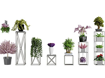 放在金属架上的盆栽植物