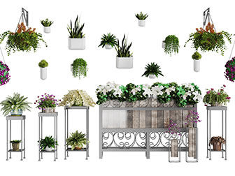 吊篮盆栽植物花箱