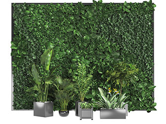 现代方形花盆盆栽植物