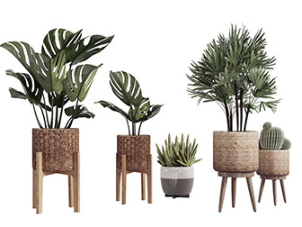 北欧藤编花盆盆栽植物