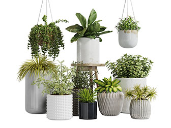 陶瓷花盆花植吊篮盆栽植物