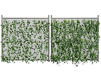 爬满藤蔓植物的金属网