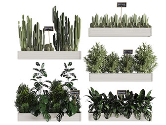 现代墙面实木花盆盆栽植物