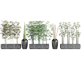 中式花坛里的竹子